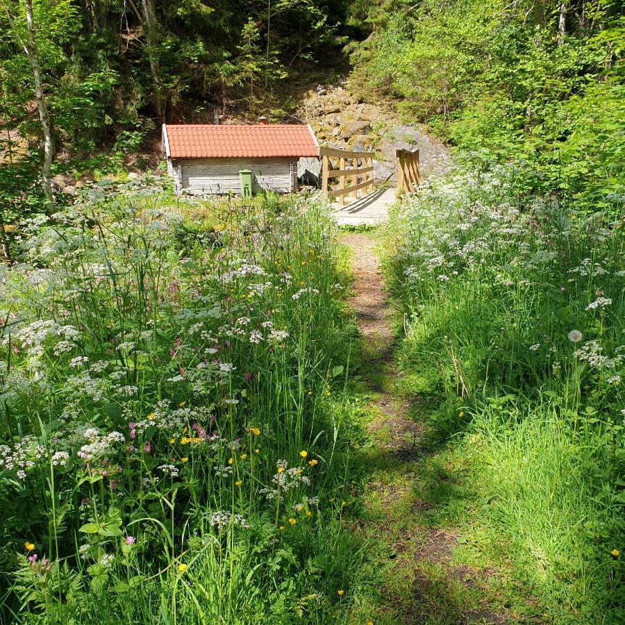 Cabin Near Lake And Beautiful Nature Reserve. Bodafors Exterior foto